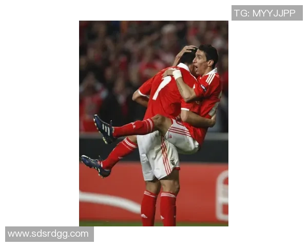 欧联杯激战本菲卡绝杀马竞全场沸腾转会传闻再起