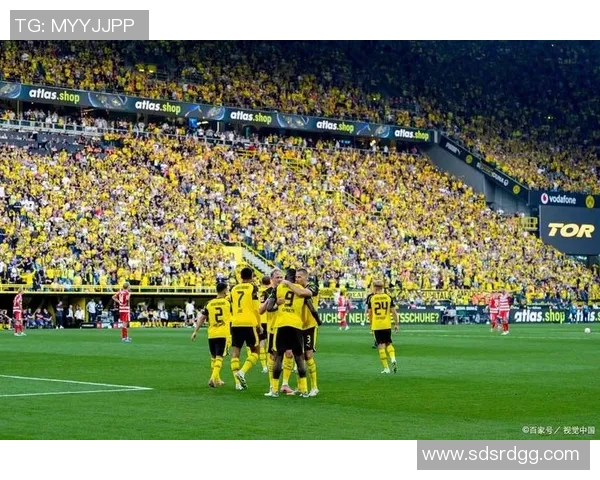 国王杯精彩对决里昂逆转多特蒙德全场沸腾瞬间回顾