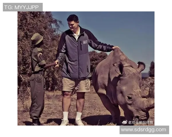 姚明如今代言的品牌与影响力分析及其在体育界的地位变化