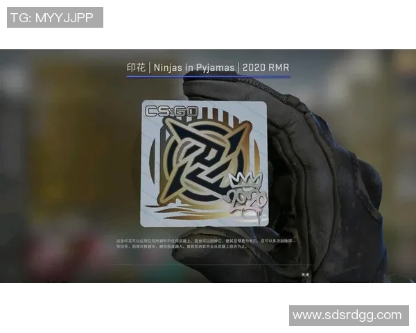 聚焦CSGOJDG战队意识提升与战术创新的深度探讨